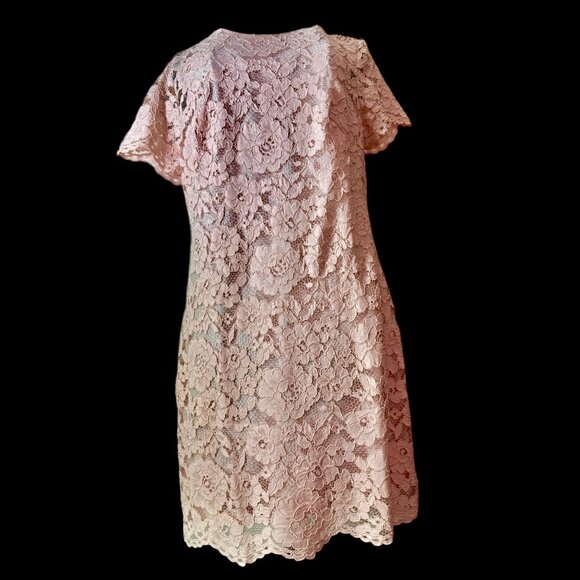 RALPH LAUREN NWT Dress sz18 Lt Pink Fliral Lace Overlay Lined Above Knee Classy - Picture 3 of 16